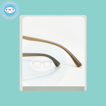 Gọng nhựa mã 3048